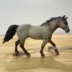 Schleich