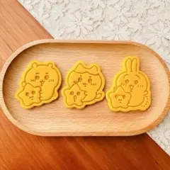 a様 リクエスト 2点 まとめ商品