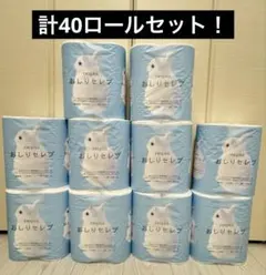 [네피아 엉덩이 연예인] 화장지 4롤 x 10개