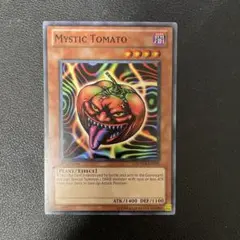 遊戯王　キラートマト　英語版　SDMA-EN002 1st