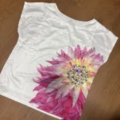 Rady Tシャツのサムネイル