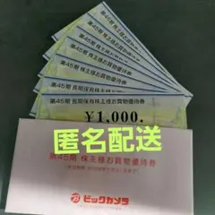ビックカメラ 株主優待券 7000円分