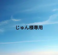 じゅん様専用