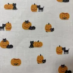 約縦48×50㎝　ハロウィン　薄手生地　はぎれ