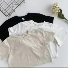2枚　クロップドTシャツ セット売り、サイズ 黒・ベージュ　130