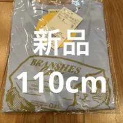 Item thumbnail for item 7ff18475-2e56-4033-9b11-470e5cecef51