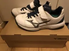 ほりんさん専用　Mizuno ライトレボ　トレーナートレーニングシューズ 21