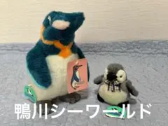 【タグ付き】鴨川シーワールド ペンギン　ぬいぐるみ　2体セットのサムネイル