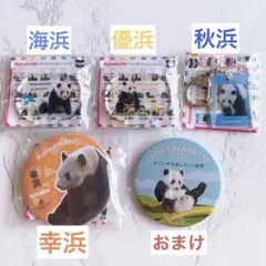 アドベンチャーワールド パンダファミリーガチャ まとめ売り