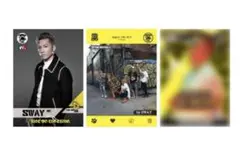 【SWAY】DOBERMANINFINITY THEREVIVAL カードセット