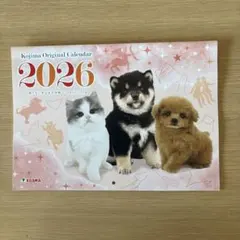 Item thumbnail for item 321d0497-423f-40b7-9864-0d44ff711062