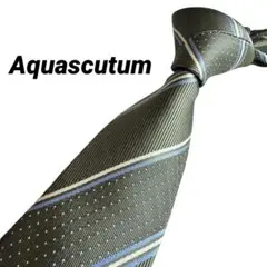 単品購入OK! 2本選んで1本無料 アクアスキュータム ネクタイ 25