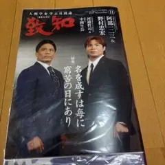 致知