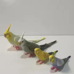 手のりインココレクション 4種セット／オカメ2・セキセイ2（ガチャガチャ）