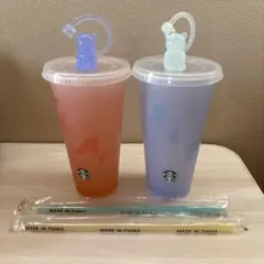 2025ミステリーカラーチェンジングリユーザブルコールドカップ710ml