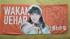 Item thumbnail for item d7eaa895-ca8d-416f-a943-0ffe73d4ceff