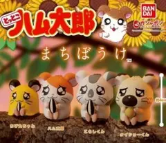 とっとこハム太郎 まちぼうけ