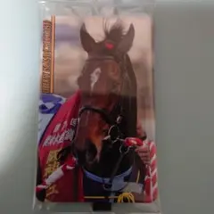 まねき馬　2669　リバティアイランド