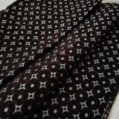 Item thumbnail for item 1bc57668-4880-4c3a-bdf2-ae5742b1401e