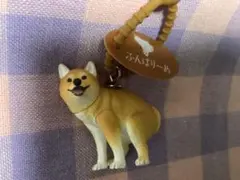 ふんばりーぬ 柴犬