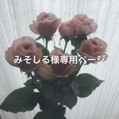 みそしる様専用ページ