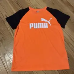 PUMA キッズ　Tシャツ　150cm