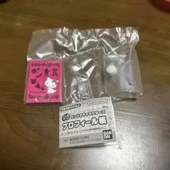 サンリオキャラクターズ プロフィール帳 チャーミーキティ