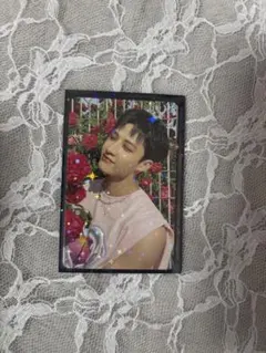 straykids トレカ MAXIDENT BDM バンチャン