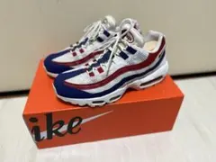 29cm ナイキ エアマックス95 独立記念日 　海外限定