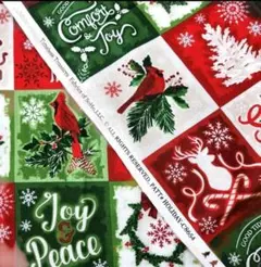 USAコットン クリスマス生地　タイムレストレジャー