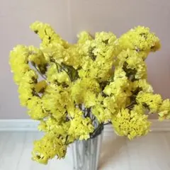 ドライフラワー　イエロー　黄　スターチス　リース　スワッグ　ネコポス　花瓶飾り