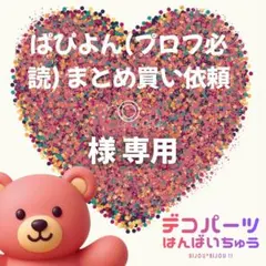 ぱぴよん(プロフ必読) まとめ買い依頼◎ 様　専用ページ