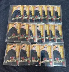 スラムダンク とるとるマスコット ジャンボカード ラミネート 