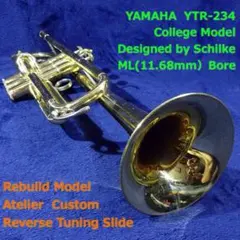 Item thumbnail for item f2f16b67-1d63-4271-8ec9-291c5edf9e1b