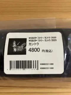 【新品未開封】ポップアップコーナー限定　カントク　B2Wスエード　タペストリー 新品未開封】ポップアップコーナー限定 カントク B2Wスエード