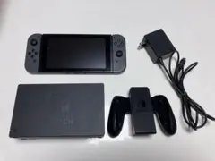 Nintendo Switch 本体 グレー ドッグ 充電器 ジャンク品匿名配送