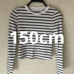 【150cm】H&M ボーダー 長袖トップス