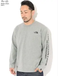 THE NORTH FACE ロングスリーブテステッドプルーブンティー