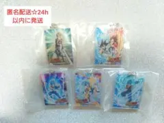 ドラゴンボールZ ドッカンバトル　アクリルチャーム2 5点セット