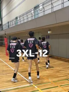 2026 日本体育大学　バレーボール　Tシャツ 3XL-12
