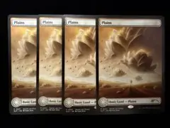 MTG John Avon 英以外のまとめ売り 約2000枚 mtg 平地 4枚 John Avon SLP ⑦ - メルカリ