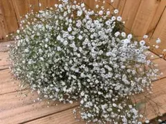 ♪riitann000♪様 リクエスト 2点 まとめ商品