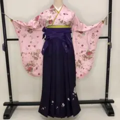 袴セット 6点 正絹 ドットサーモンピンク 袴グリーン花刺繍❤️大学生 