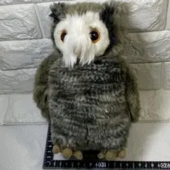 ロン・ウィーズリーのフクロウ　ピッグウィジョン ぬいぐるみ［24㎝］USJのサムネイル