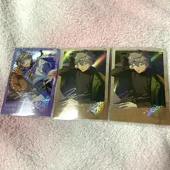 あんスタ　招募　ポラロイド　瀬名泉