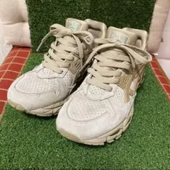 GEL-KAYANO ゲルカヤノ TRAINER21 24.5㌢のサムネイル