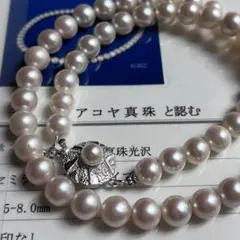 テリ強/装飾石】アコヤ真珠 7.6-7.8mm パールネックレス SV金具 - メルカリ