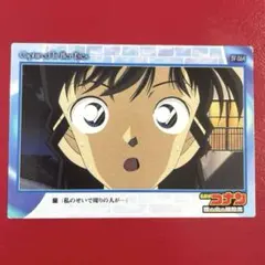 稀少】名探偵コナン 瞳の中の暗殺者 アマダ トレカ ホロカード H-29
