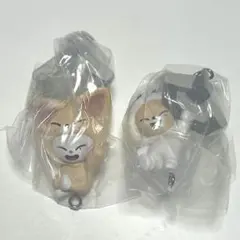 skzoo ガチャ つまつな ジニレット フォクシニー ソコンイェズ