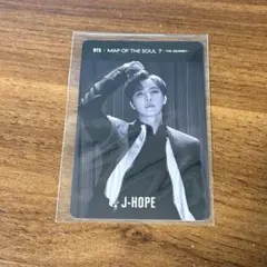 平沢進 核pーmodel unZIP 非コード人のアコード メモカ ライブグッズ